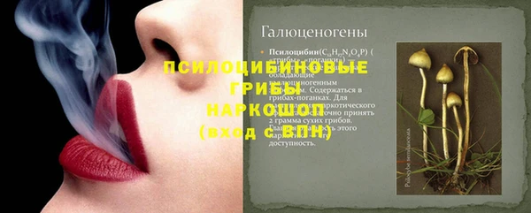дживик Алексеевка